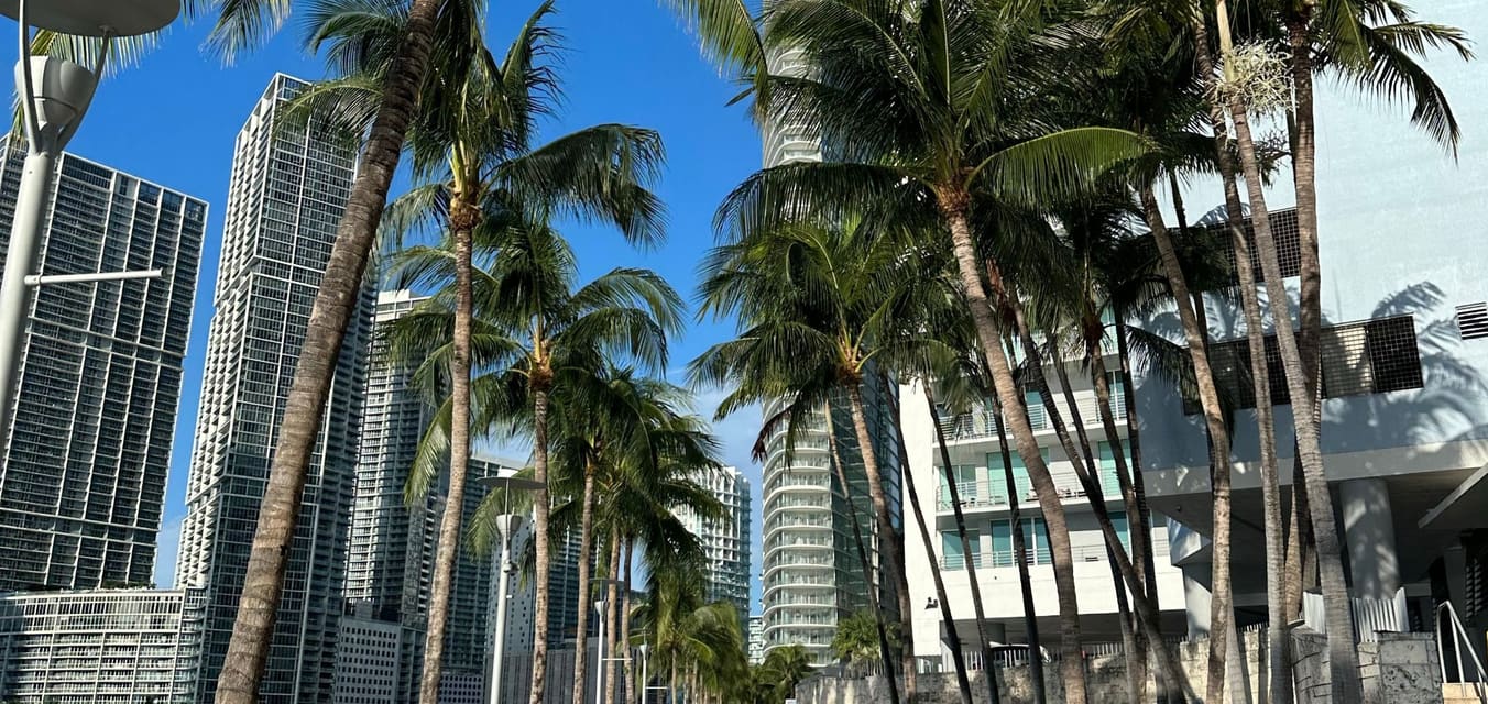 Condo towers and palm trees in Brickell, Miami