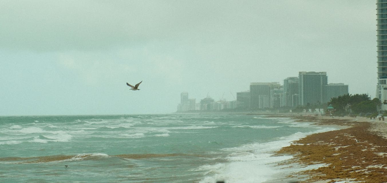 Storm waves on a Miami beach, with condo towers in the distance